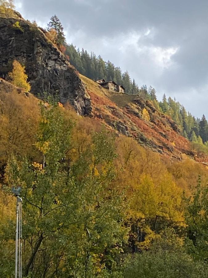 Baita Valtellina. Relax Nel Cuore Delle Alpi Grosio Dış mekan fotoğraf